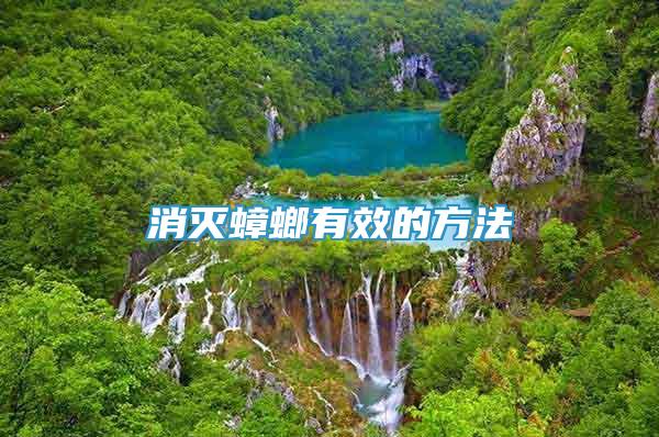 消滅蟑螂有效的方法