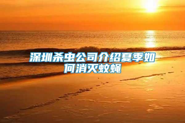 深圳殺蟲公司介紹夏季如何消滅蚊蠅