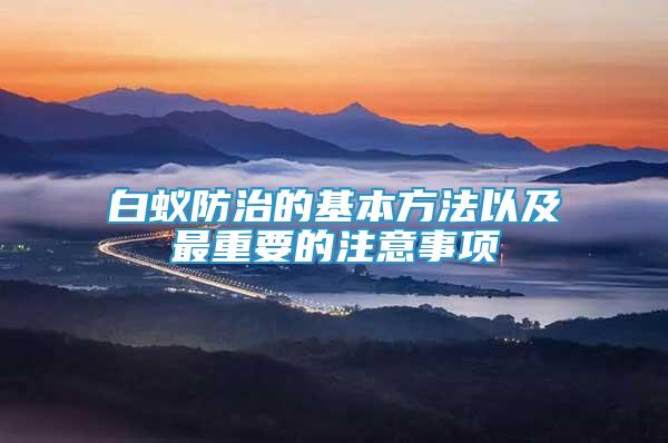 白蟻防治的基本方法以及最重要的注意事項