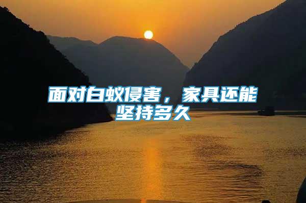 面對白蟻侵害，家具還能堅持多久