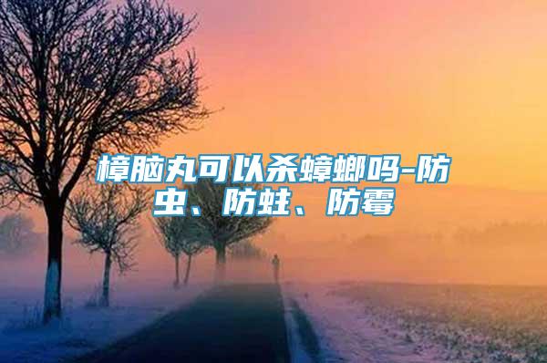 樟腦丸可以殺蟑螂嗎-防蟲、防蛀、防霉