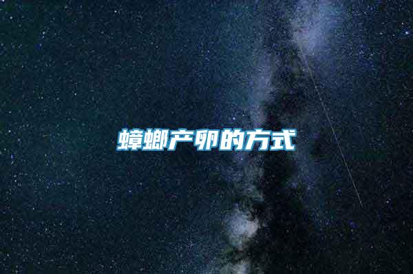 蟑螂產(chǎn)卵的方式