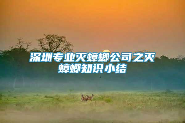 深圳專業(yè)滅蟑螂公司之滅蟑螂知識小結(jié)
