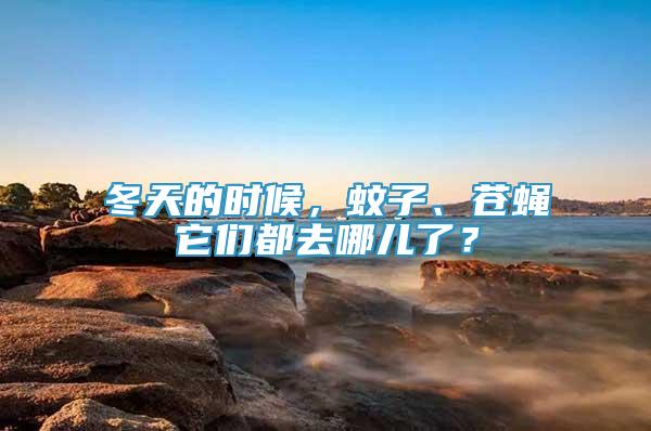 冬天的時候，蚊子、蒼蠅它們都去哪兒了？