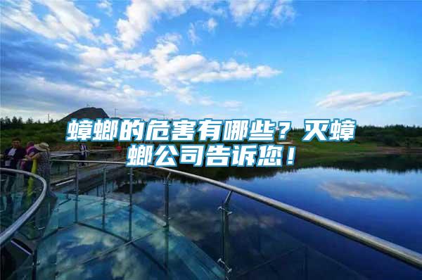 蟑螂的危害有哪些？滅蟑螂公司告訴您！