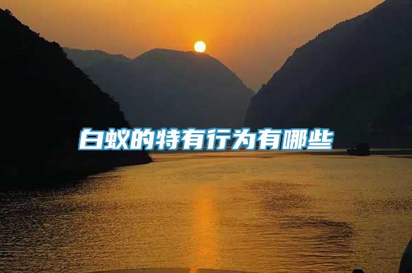 白蟻的特有行為有哪些