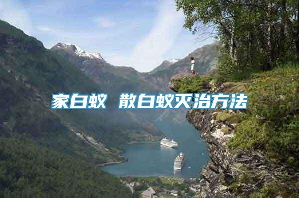 家白蟻 散白蟻滅治方法