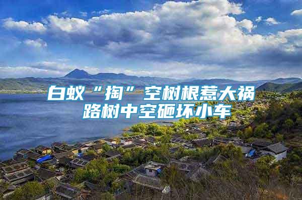 白蟻“掏”空樹根惹大禍 路樹中空砸壞小車