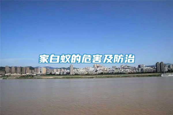 家白蟻的危害及防治