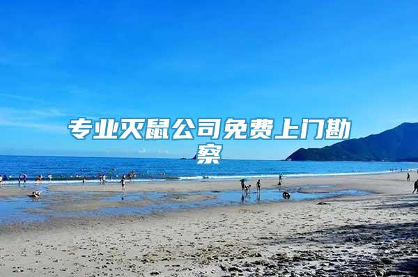 專業(yè)滅鼠公司免費(fèi)上門勘察