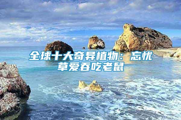 全球十大奇異植物：忘憂草愛吞吃老鼠