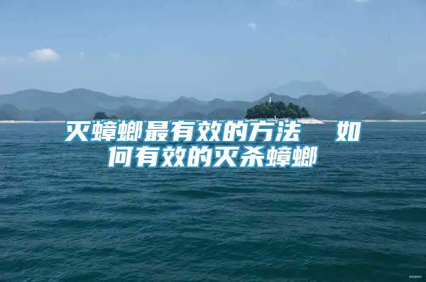 滅蟑螂最有效的方法  如何有效的滅殺蟑螂