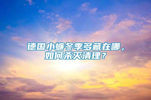 德國小蠊冬季多藏在哪，如何殺滅清理？