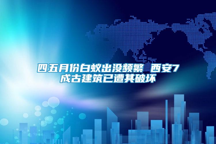 四五月份白蟻出沒頻繁 西安7成古建筑已遭其破壞