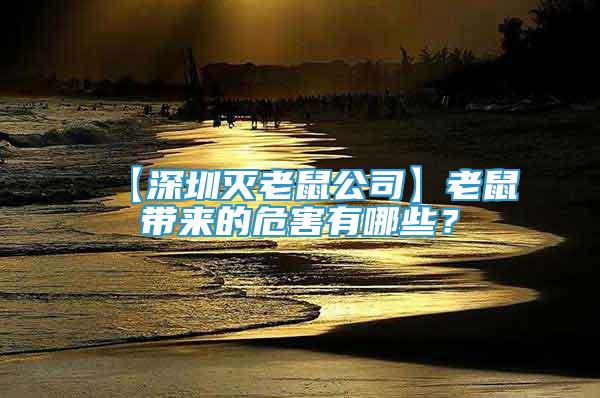 【深圳滅老鼠公司】老鼠帶來的危害有哪些？