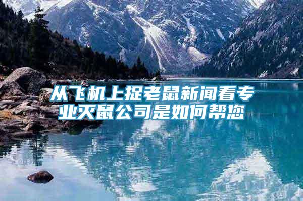 從飛機(jī)上捉老鼠新聞看專業(yè)滅鼠公司是如何幫您