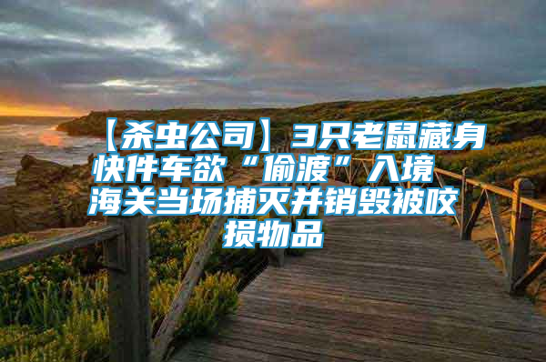 【殺蟲公司】3只老鼠藏身快件車欲“偷渡”入境 海關(guān)當(dāng)場(chǎng)捕滅并銷毀被咬損物品