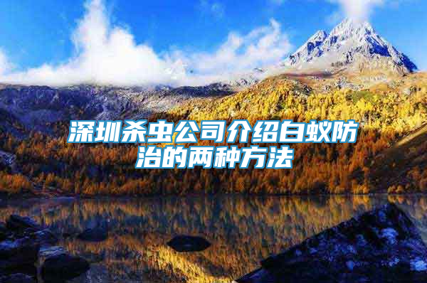 深圳殺蟲公司介紹白蟻防治的兩種方法