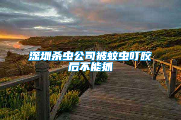 深圳殺蟲公司被蚊蟲叮咬后不能抓