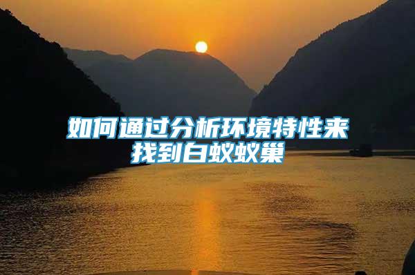 如何通過(guò)分析環(huán)境特性來(lái)找到白蟻蟻巢