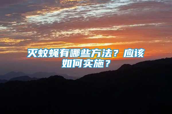 滅蚊蠅有哪些方法？應該如何實施？