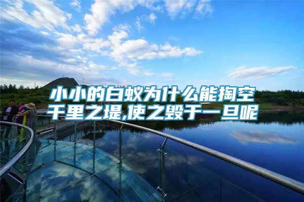 小小的白蟻為什么能掏空千里之堤,使之毀于一旦呢