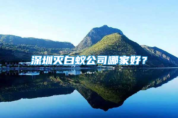 深圳滅白蟻公司哪家好？