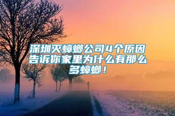 深圳滅蟑螂公司4個原因告訴你家里為什么有那么多蟑螂！