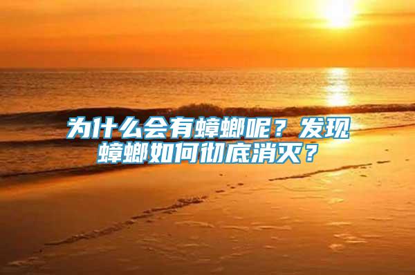 為什么會有蟑螂呢？發(fā)現(xiàn)蟑螂如何徹底消滅？
