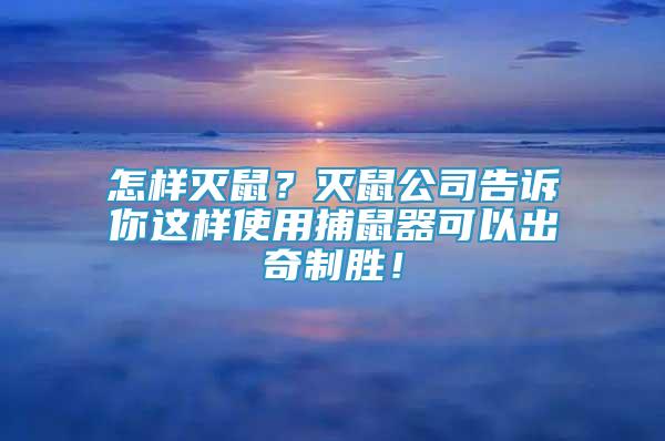 怎樣滅鼠？滅鼠公司告訴你這樣使用捕鼠器可以出奇制勝！