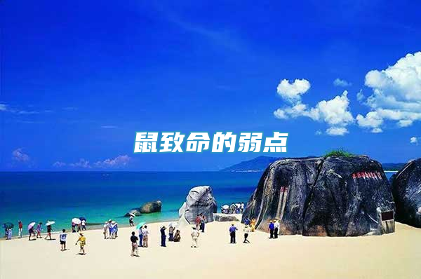 鼠致命的弱點