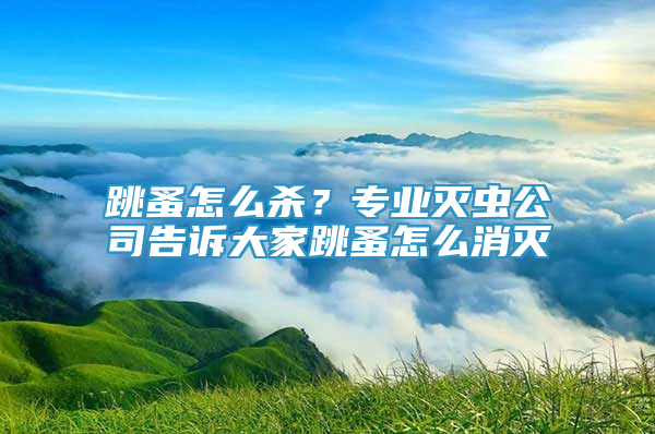 跳蚤怎么殺？專業(yè)滅蟲公司告訴大家跳蚤怎么消滅