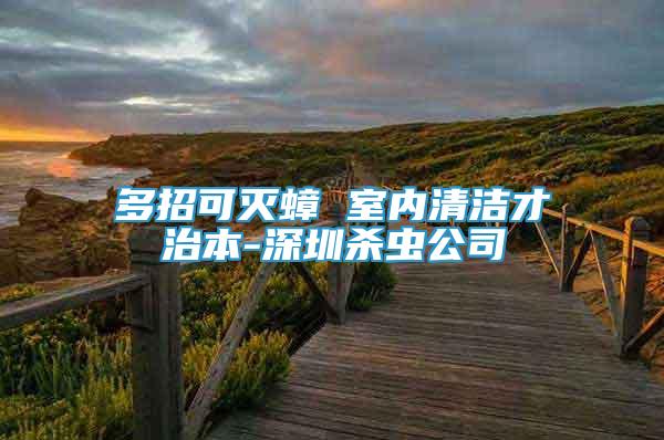 多招可滅蟑 室內(nèi)清潔才治本-深圳殺蟲公司