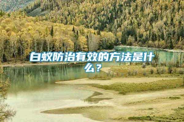 白蟻防治有效的方法是什么？