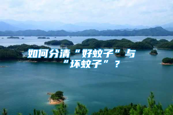 如何分清“好蚊子”與“壞蚊子”？