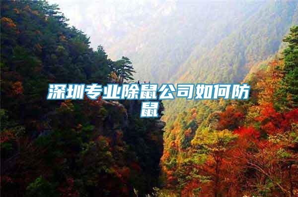 深圳專業(yè)除鼠公司如何防鼠