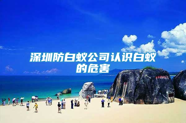 深圳防白蟻公司認(rèn)識白蟻的危害