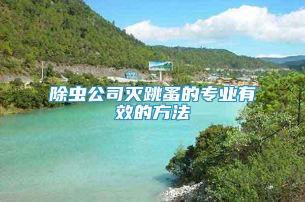 除蟲(chóng)公司滅跳蚤的專業(yè)有效的方法