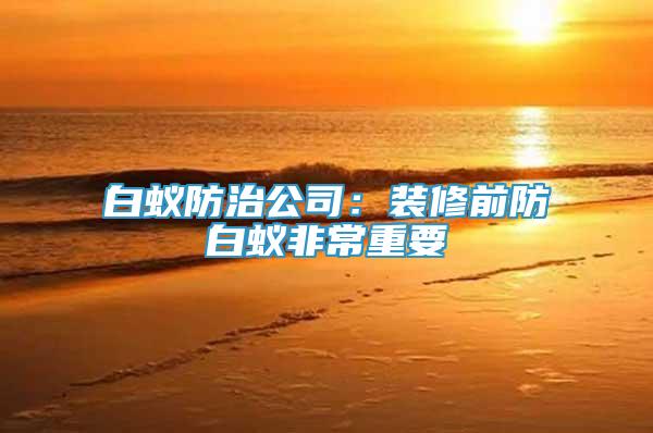 白蟻防治公司：裝修前防白蟻非常重要