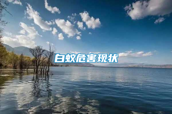 白蟻危害現(xiàn)狀