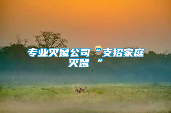 專業(yè)滅鼠公司“支招家庭滅鼠 ”