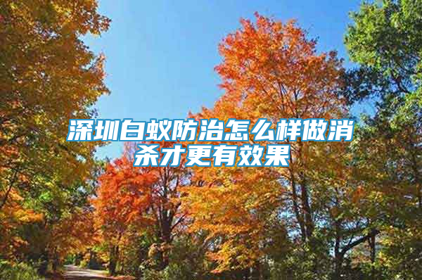 深圳白蟻防治怎么樣做消殺才更有效果