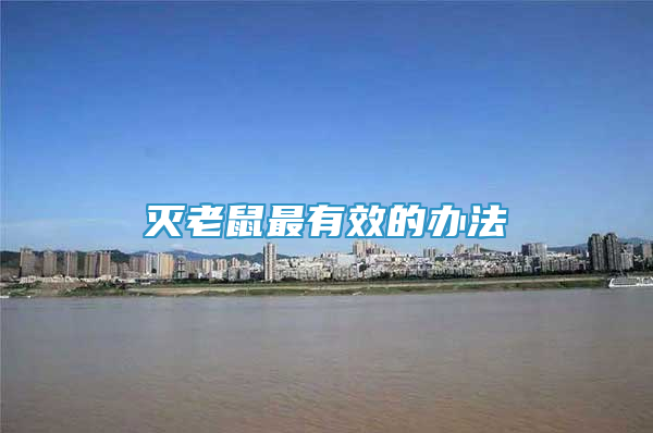 滅老鼠最有效的辦法