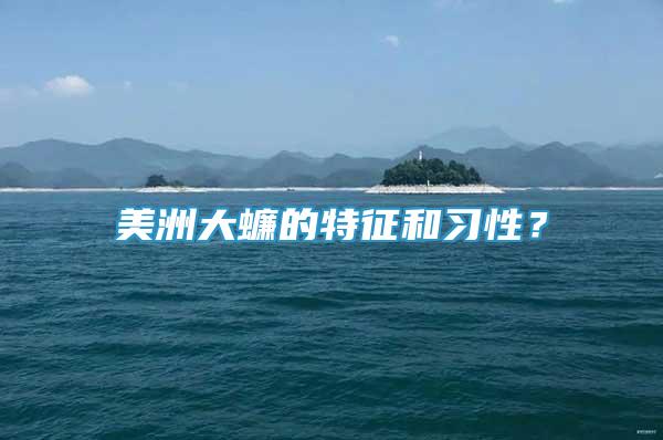 美洲大蠊的特征和習(xí)性？