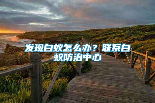 發(fā)現(xiàn)白蟻怎么辦？聯(lián)系白蟻防治中心