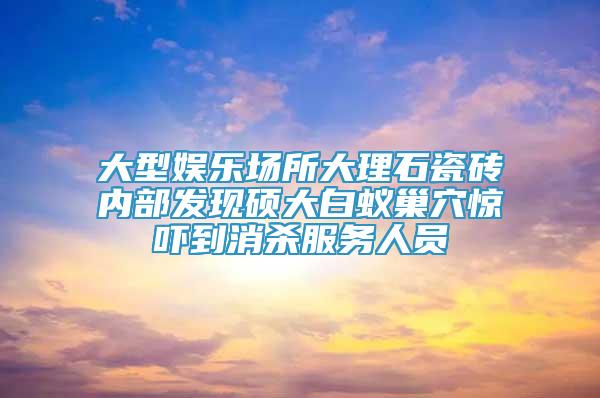 大型娛樂(lè)場(chǎng)所大理石瓷磚內(nèi)部發(fā)現(xiàn)碩大白蟻巢穴驚嚇到消殺服務(wù)人員