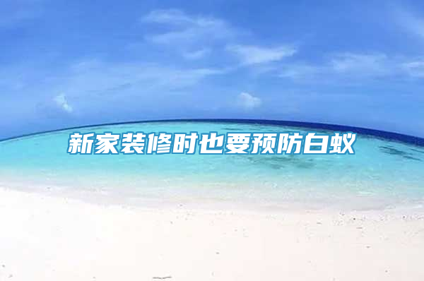 新家裝修時也要預防白蟻