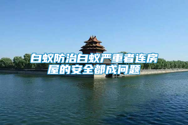 白蟻防治白蟻嚴(yán)重者連房屋的安全都成問(wèn)題