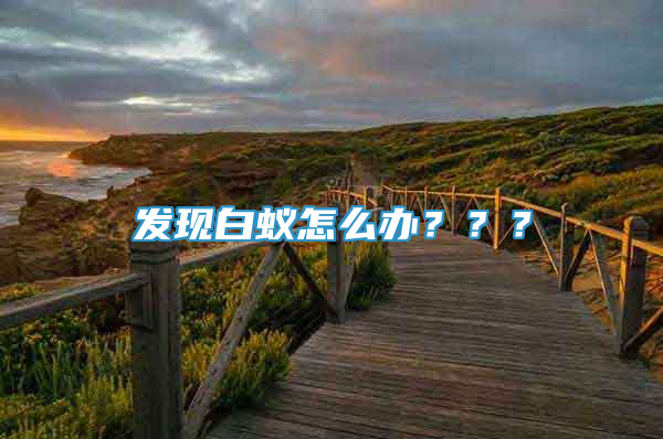 發(fā)現白蟻怎么辦？？？