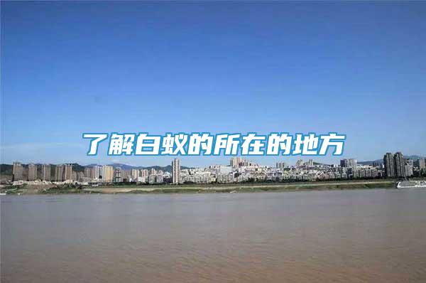 了解白蟻的所在的地方